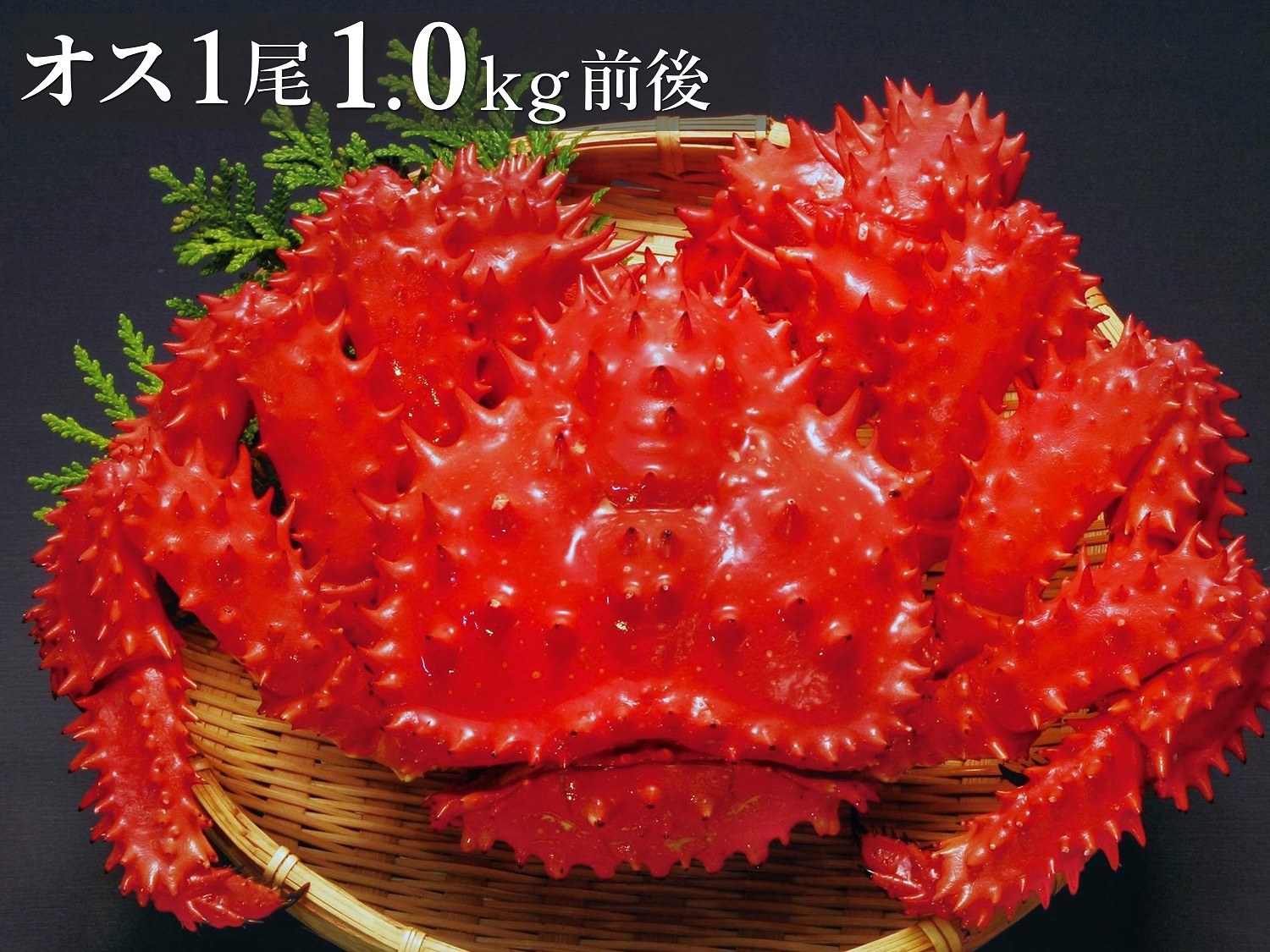 【数量限定】ボイル冷凍・花咲がに〈オス〉1尾で1.0kg前後