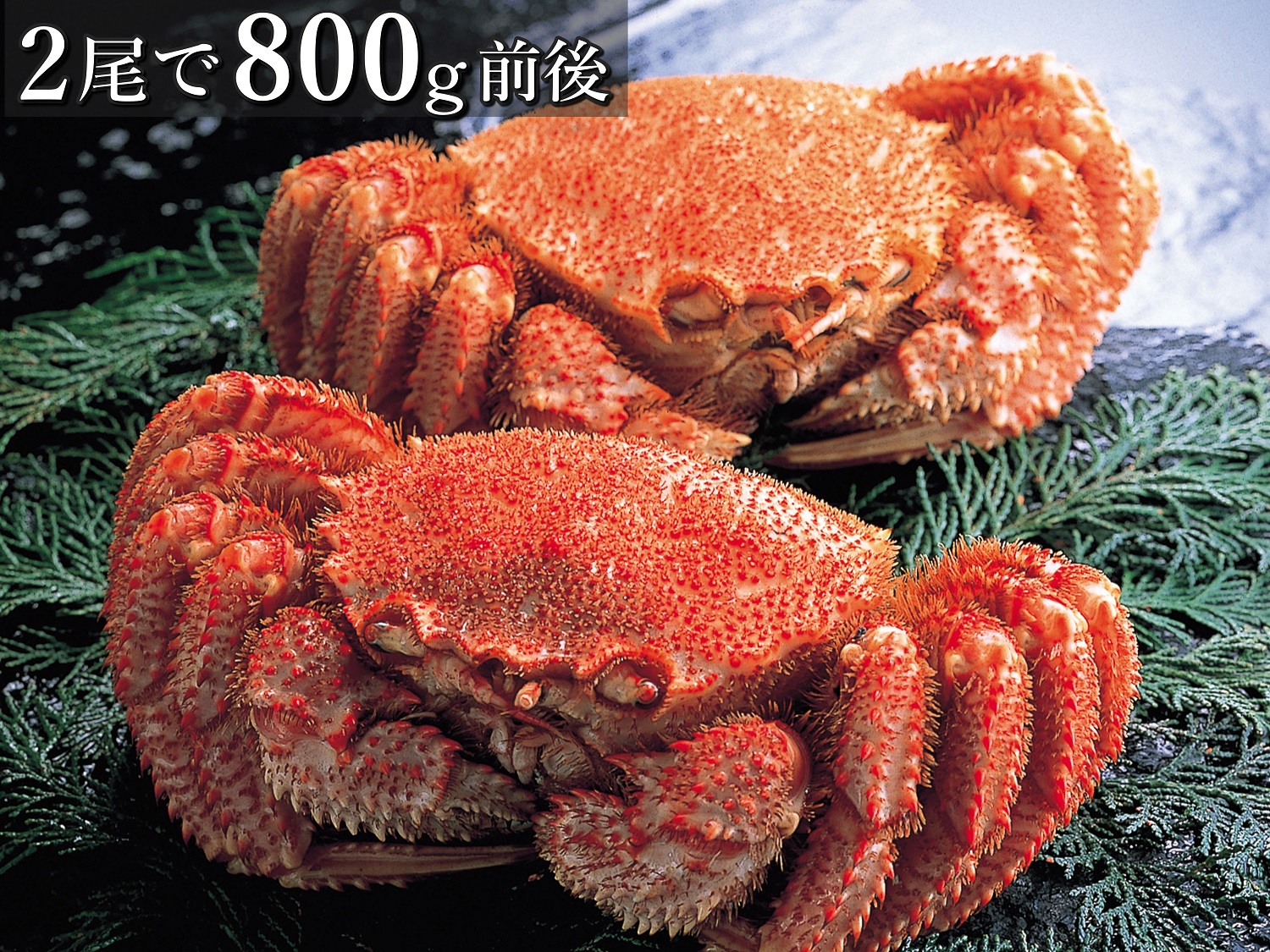 ボイル冷凍・毛がに2尾で800g前後