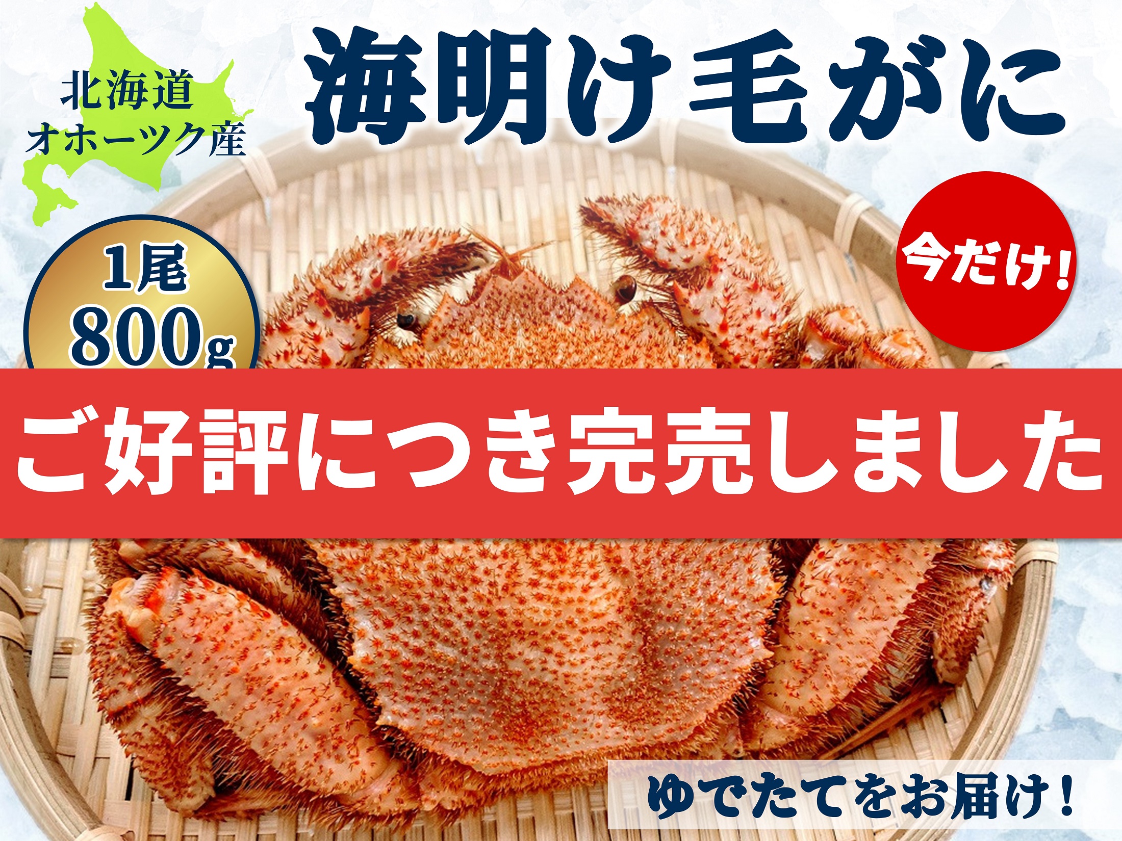 【オホーツク海明け】朝ゆで毛がに・活目800g前後