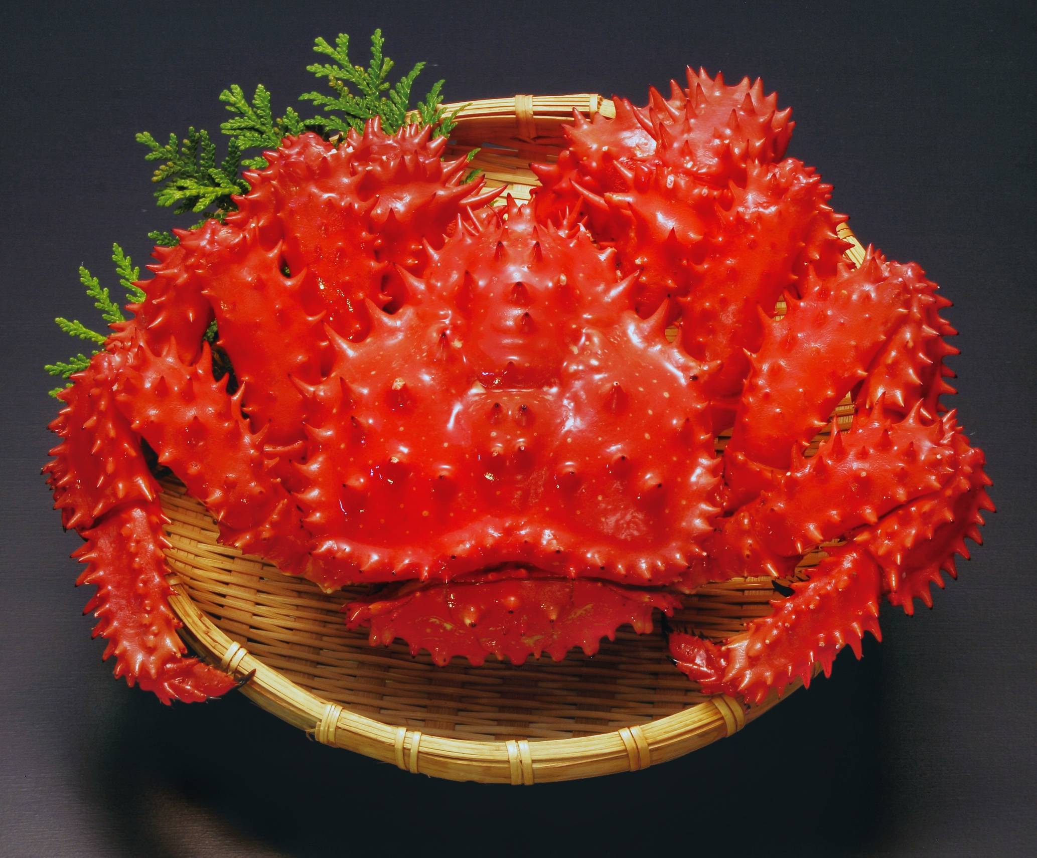 ボイル冷凍・花咲がに〈オス〉1尾で1.0kg前後