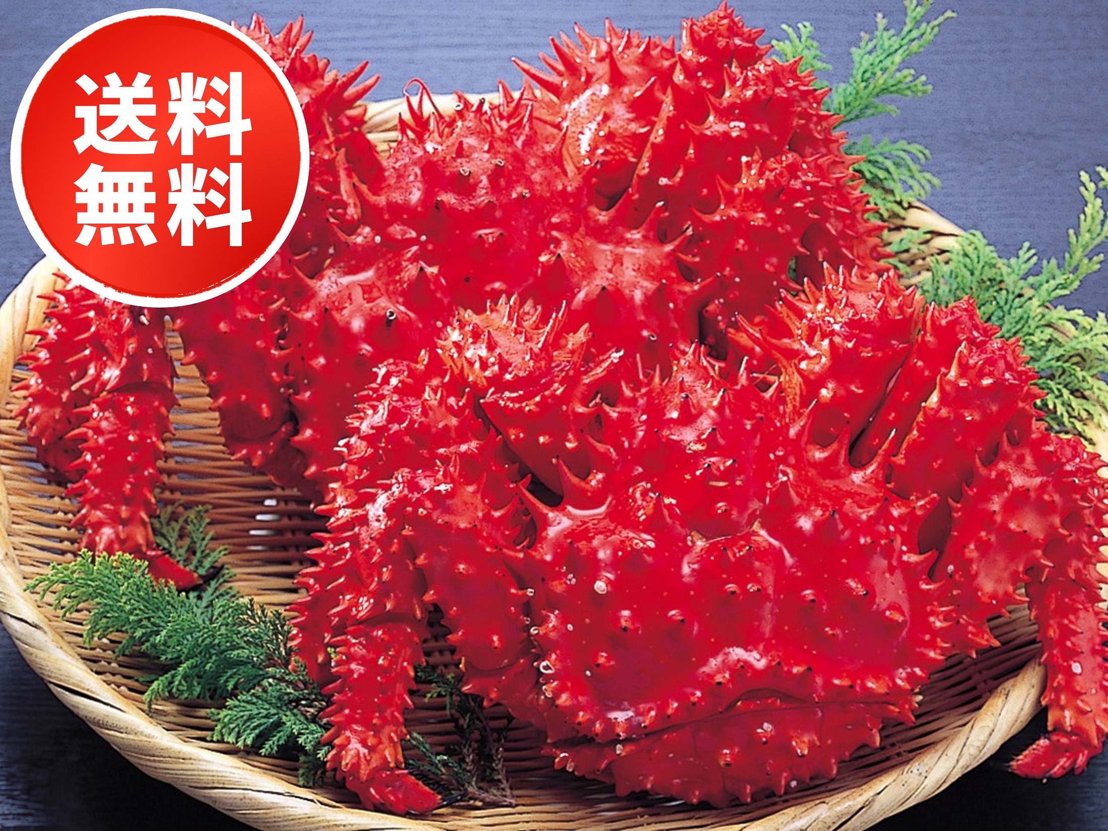 ボイル冷凍・花咲がに2尾(1.0kg)セット【全国送料無料】
