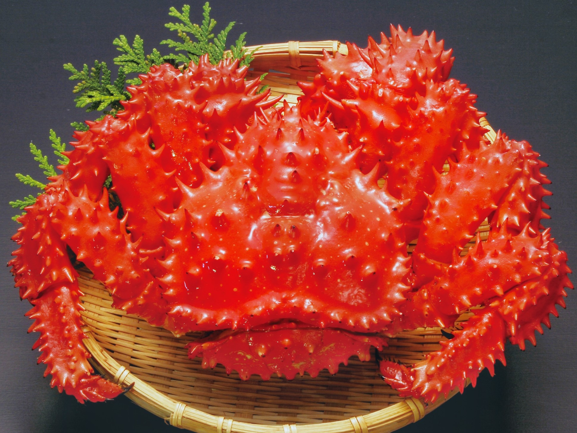 【数量限定】ボイル冷凍・花咲がに〈オス〉1尾で1.3kg前後