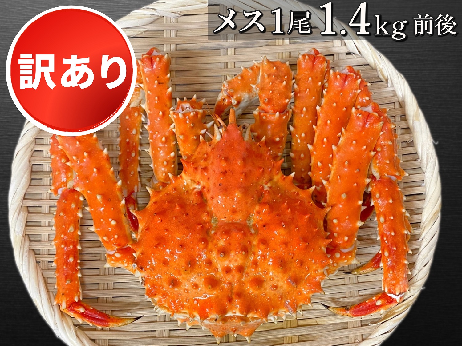 【訳あり】ボイル冷凍・たらばがに姿〈メス〉1尾で1.4㎏前後 (全国送料無料)