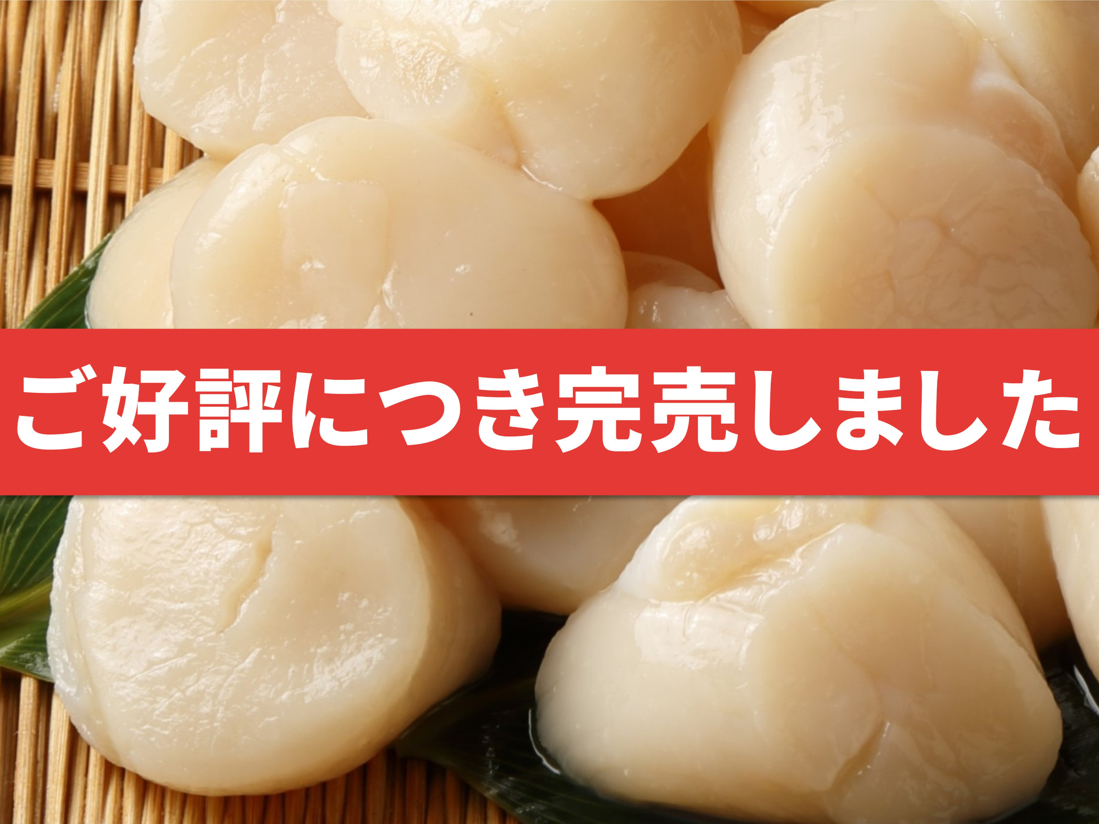 【道東産】天然ほたて貝柱・特大2Lサイズ500g(お刺身用)