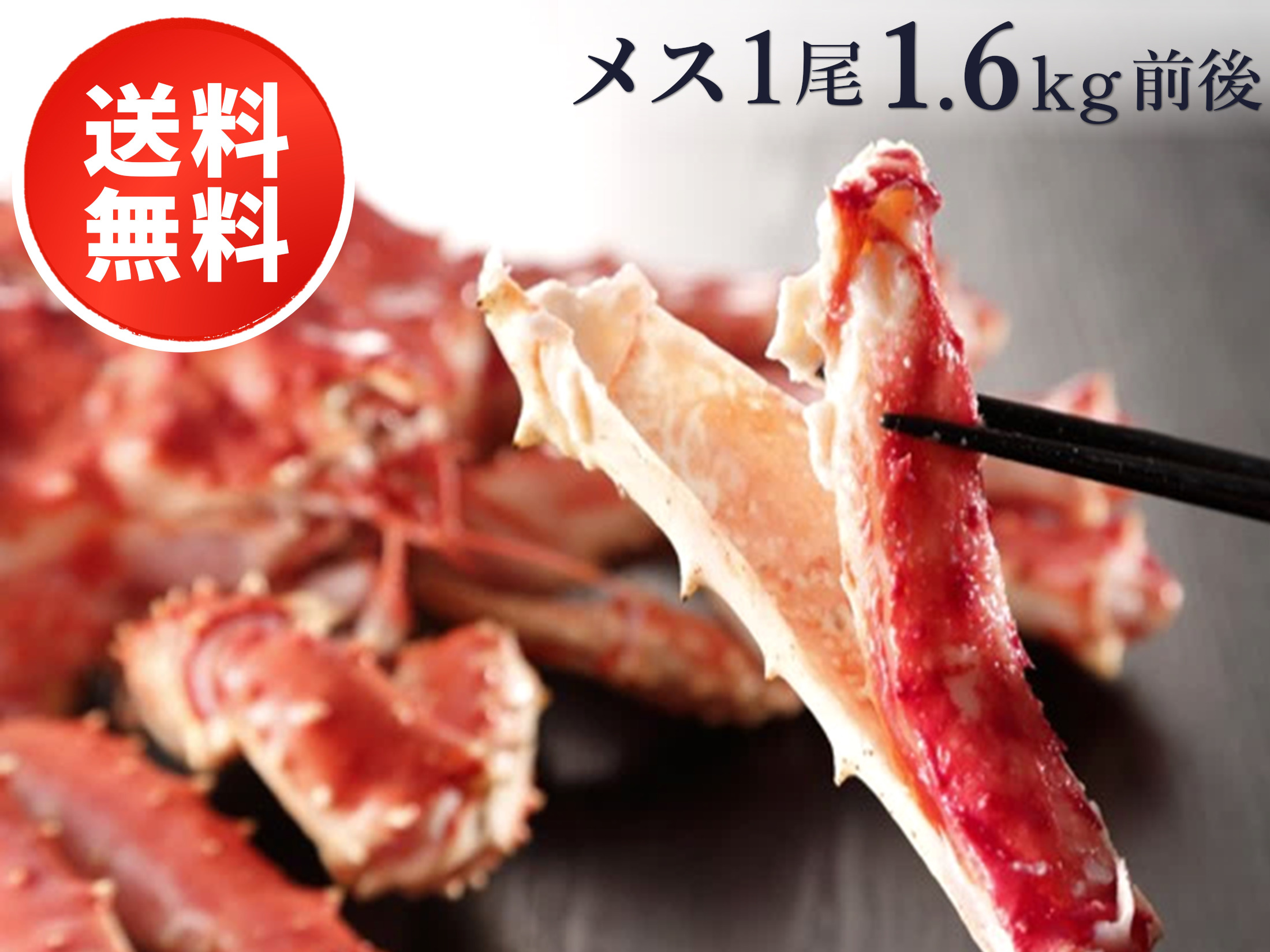 ボイル冷凍・たらばがに姿〈メス〉1尾1.6kg前後【全国送料無料】