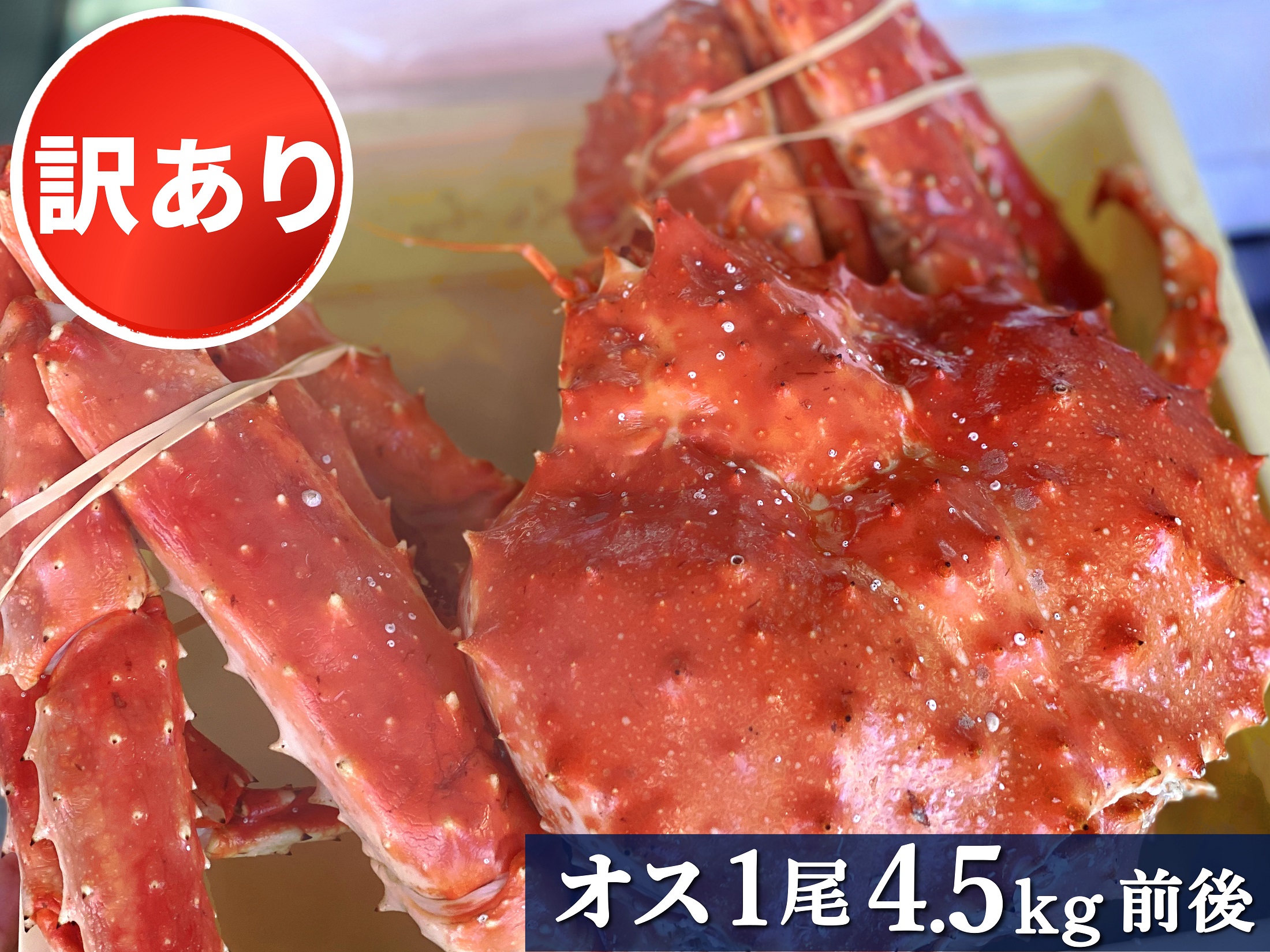 【訳あり】ボイル冷凍・たらばがに姿　1尾4.5㎏前後 (北海道産)