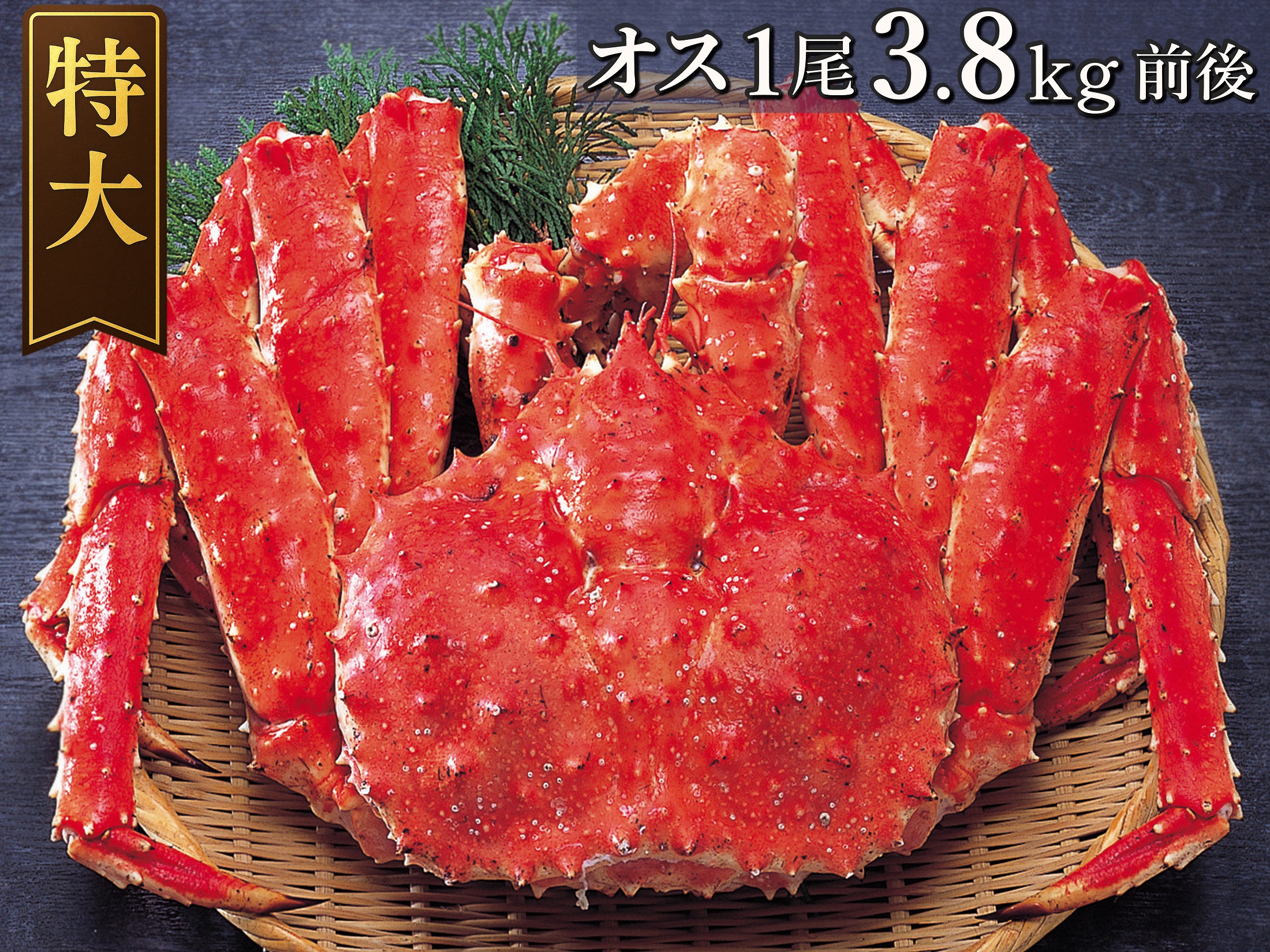 【数量限定】ボイル冷凍・たらばがに姿〈オス〉3.8kg前後