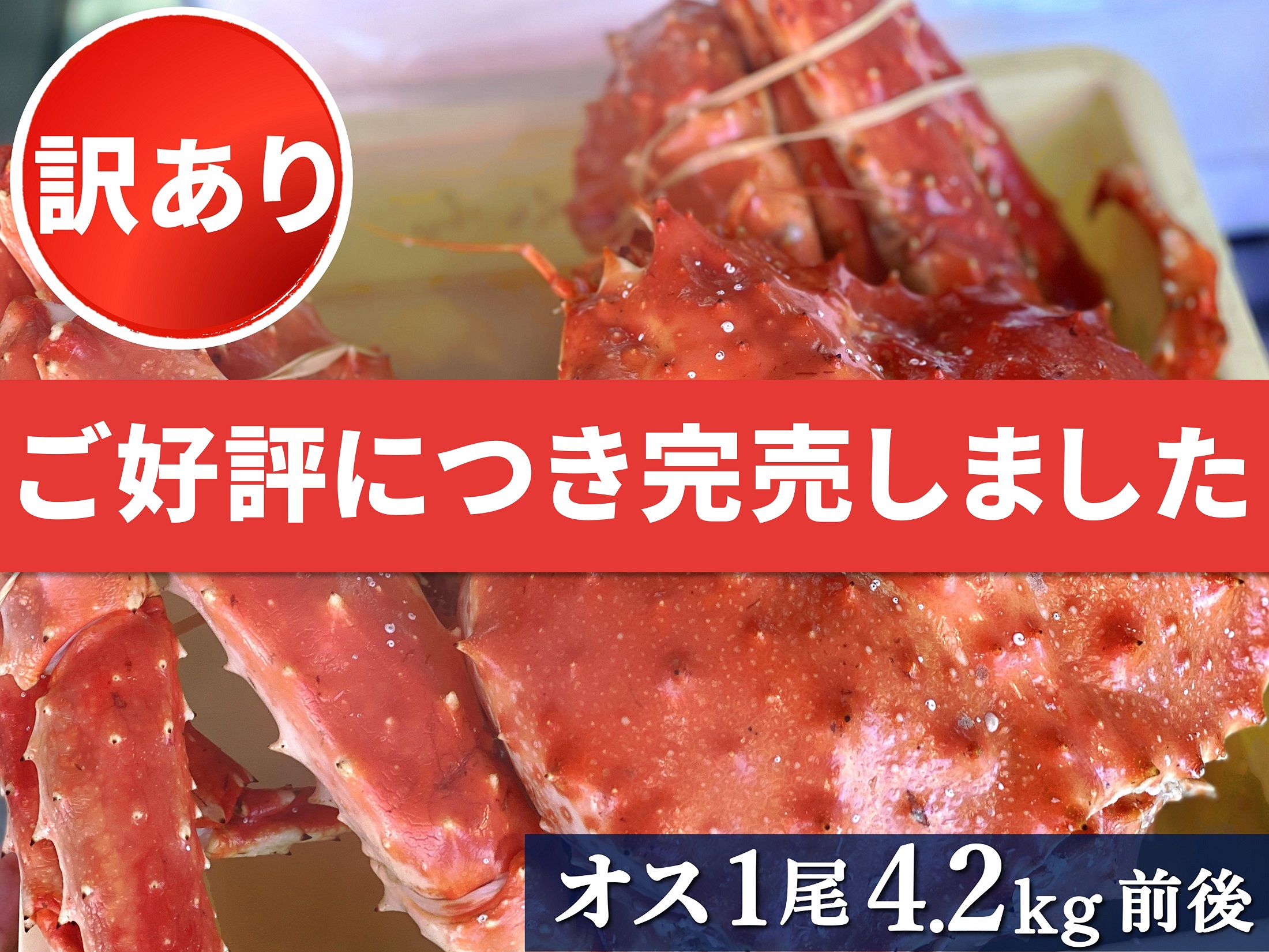 【訳あり】ボイル冷凍・たらばがに姿　1尾4.2㎏前後 (北海道産)