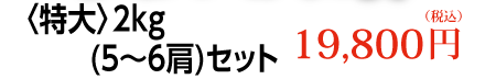 特大2kg（5～6肩）セット　19,800円（税込）