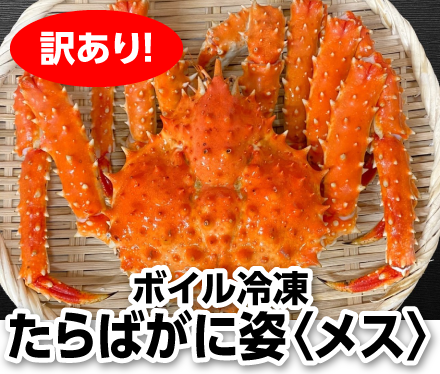 ボイル冷凍・たらばがに姿〈メス〉