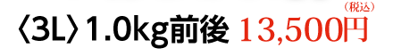 〈3L〉1.0kg前後　13,500円（税込）