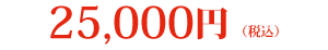 25,000円（税込）