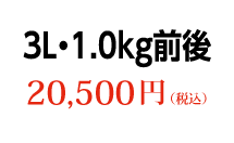 3L 1.0kg前後 20,500円（税込）