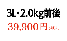 3L 2.0kg前後 39,900円（税込）