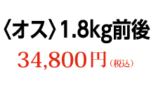 〈オス〉1.8kg前後 34,800円（税込）