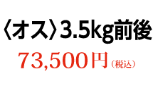 〈オス〉3.5kg前後 73,500円（税込）