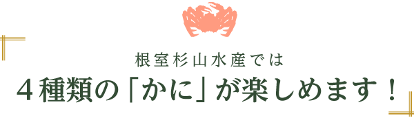 根室杉山水産では４種類の「かに」が楽しめます！