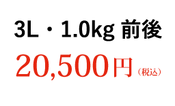 3L 1.0kg前後 20,500円（税込） ご購入はこちら