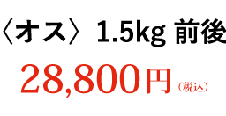 〈オス〉1.5kg前後 28,800円（税込）