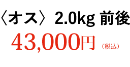 〈オス〉2.0kg前後 43,000円（税込）