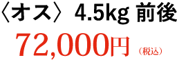 〈オス〉4.5kg前後 72,000円（税込）